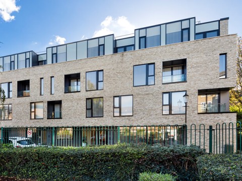 The Reed, Kensington